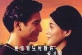 九九九九天长地久视频全集,穿越时空的永恒爱情传奇